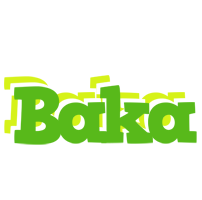 Baka picnic logo