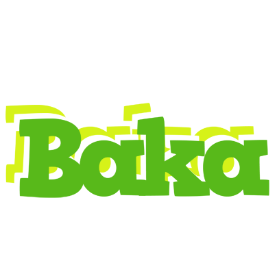 Baka picnic logo