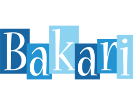 Bakari winter logo