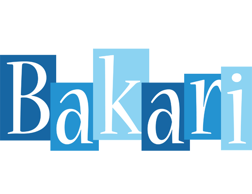Bakari winter logo