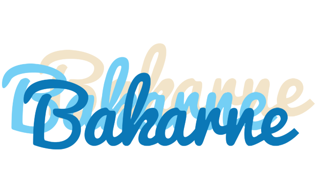 Bakarne breeze logo