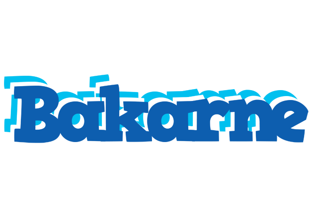 Bakarne business logo