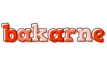 Bakarne paint logo