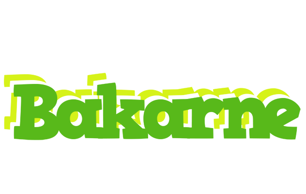 Bakarne picnic logo