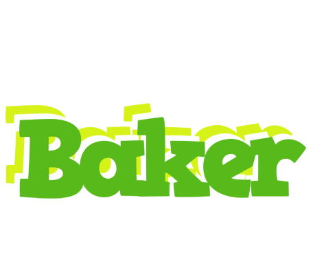 Baker picnic logo