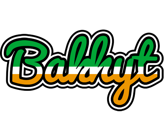 Bakhyt ireland logo