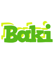 Baki picnic logo