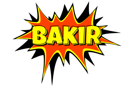 Bakir bazinga logo