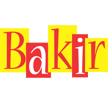 Bakir errors logo