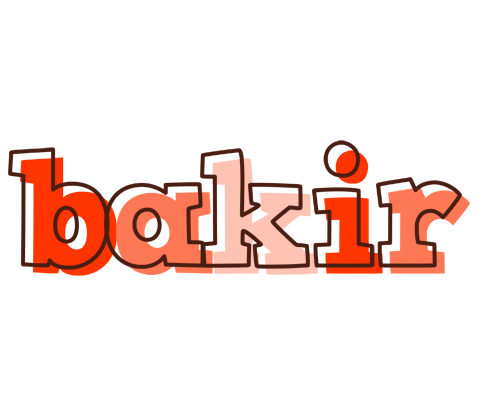 Bakir paint logo