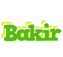 Bakir picnic logo