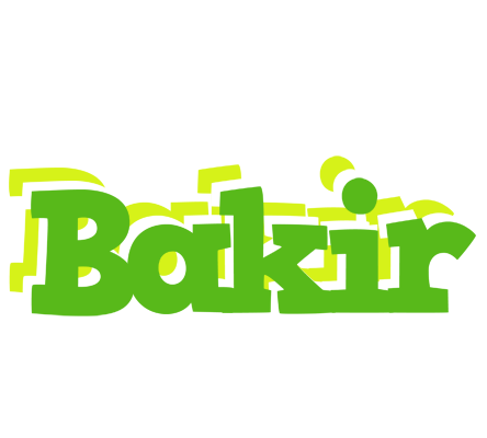 Bakir picnic logo