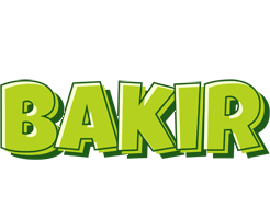 Bakir summer logo