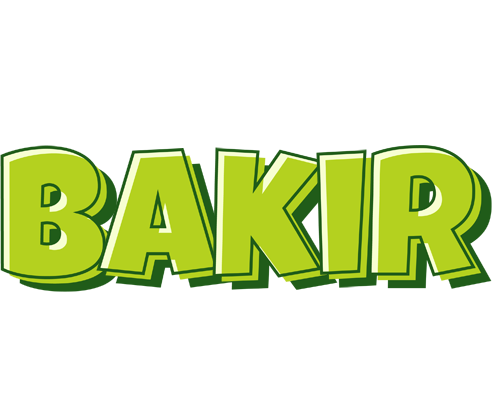Bakir summer logo