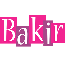 Bakir whine logo