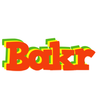 Bakr bbq logo