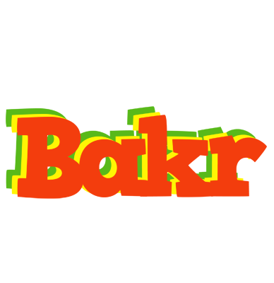 Bakr bbq logo