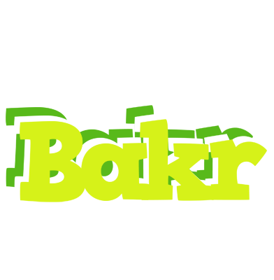 Bakr citrus logo