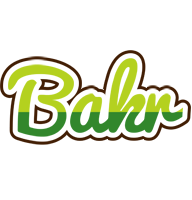 Bakr golfing logo