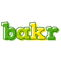 Bakr juice logo