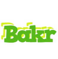 Bakr picnic logo