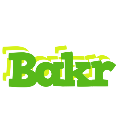 Bakr picnic logo