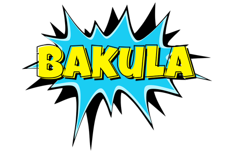 Bakula amazing logo