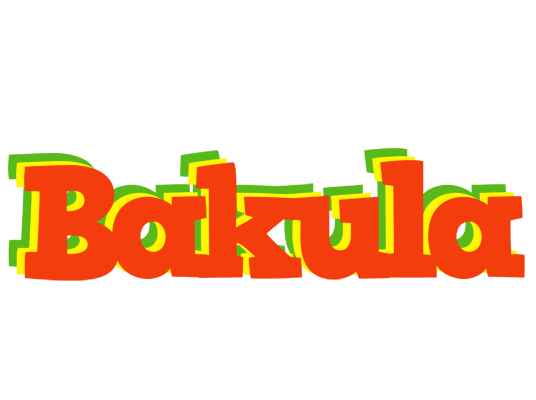 Bakula bbq logo
