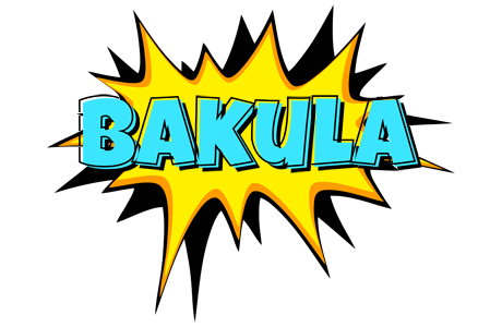 Bakula indycar logo