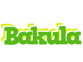 Bakula picnic logo