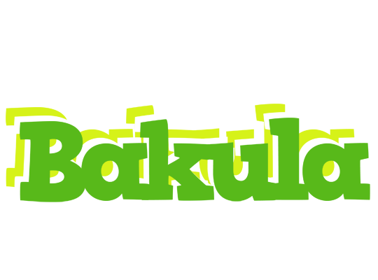 Bakula picnic logo