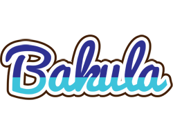 Bakula raining logo