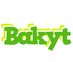 Bakyt picnic logo