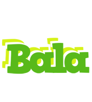 Bala picnic logo