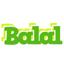 Balal picnic logo