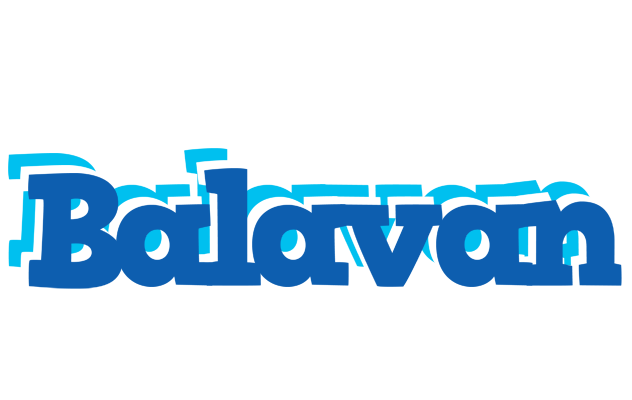 Balavan business logo