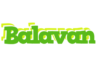 Balavan picnic logo