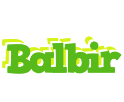 Balbir picnic logo