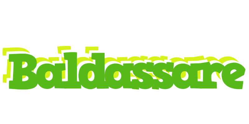 Baldassare picnic logo