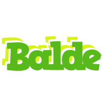 Balde picnic logo