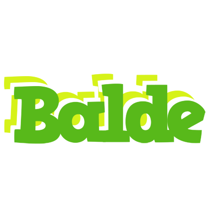 Balde picnic logo