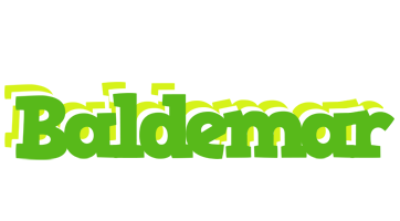 Baldemar picnic logo