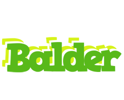 Balder picnic logo