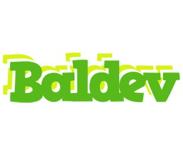 Baldev picnic logo