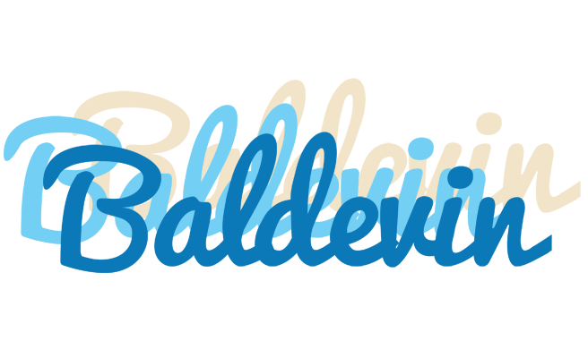 Baldevin breeze logo