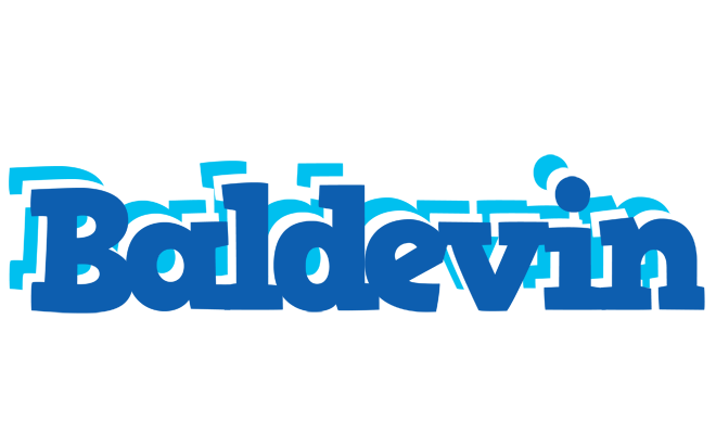 Baldevin business logo