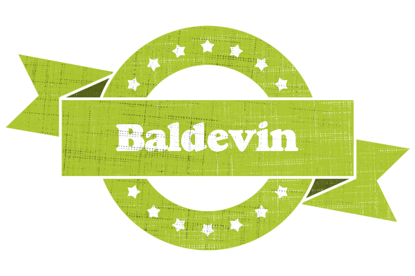 Baldevin change logo