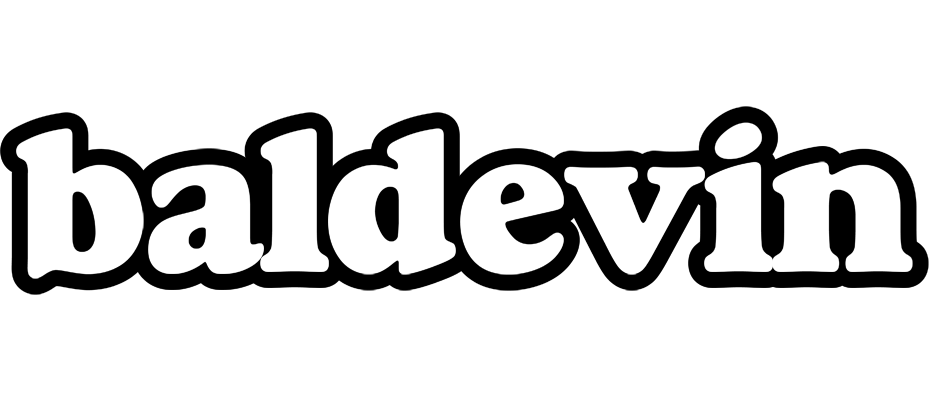Baldevin panda logo
