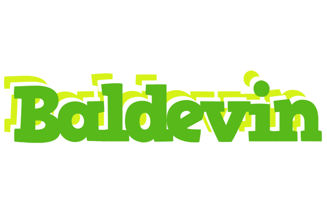 Baldevin picnic logo