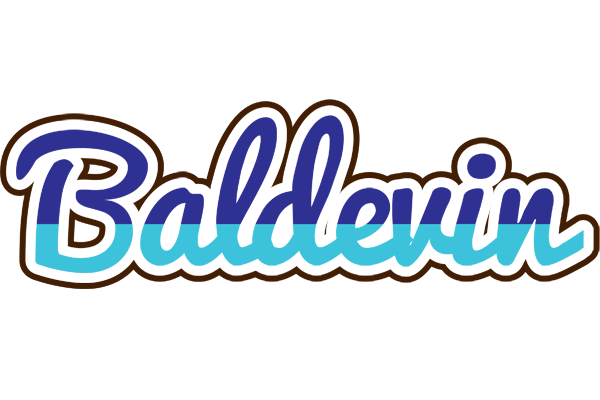 Baldevin raining logo